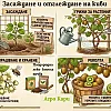 Засаждане и отглеждане на киви