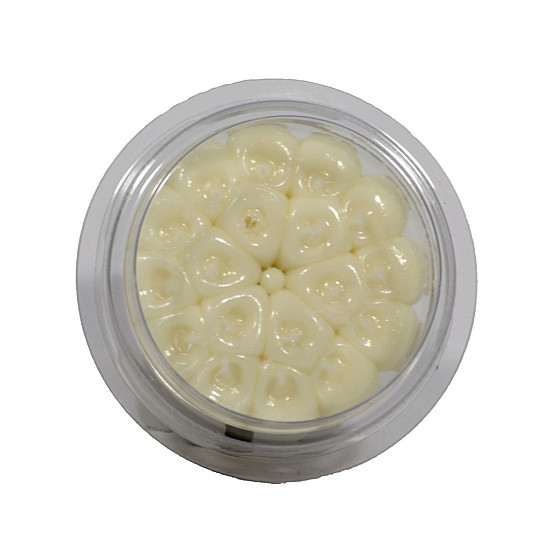 Гел - репелент прогонващ птици (ГЪЛЪБИ, ЧАЙКИ, ГЛАРУСИ) Bird free optical gel  - 1 кутийка
