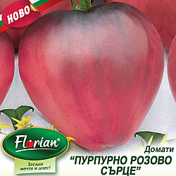 Домати Пурпурно розово сърце Флориян