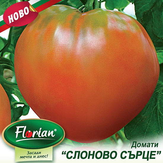 Домати Слоново Сърце