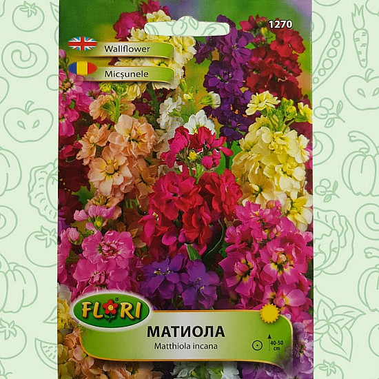 Матиола (Шибой) - Matthiola incana