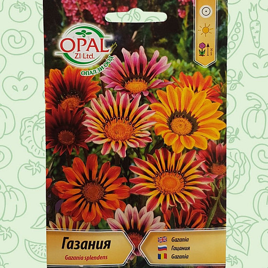Газания - Gazania