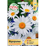 Маргаритка бяла