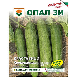 Краставици Крокодилки - 1 гр. -ОПАЛ З