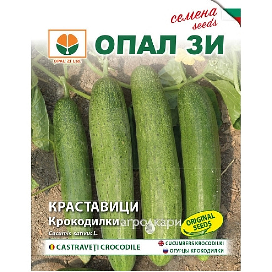 Краставици Крокодилки - 1 гр. -ОПАЛ З