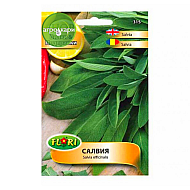Салвия
