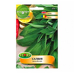 Салвия