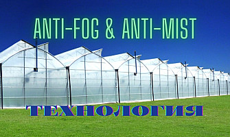 Значение на Anti-fog и Anti-mist технологията при оранжерийното производство