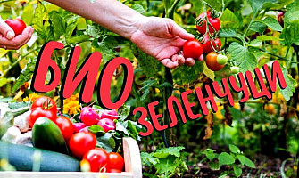 Как да си отгледаме БИО зеленчуци