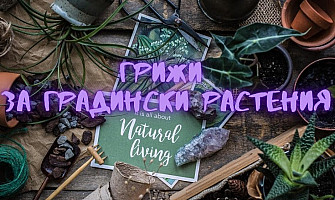 Грижи при отглеждане на растения Част 2 - Градински растения