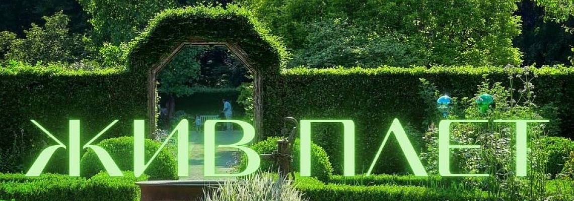 Съвети за изграждане на жив плет или бордюр