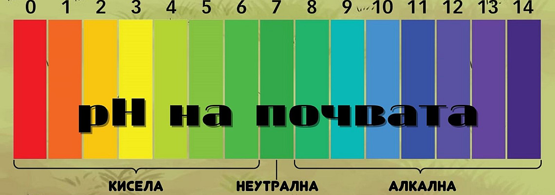 Какво представлява pH на почвата и как се регулира