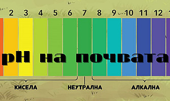 Какво представлява pH на почвата и как се регулира