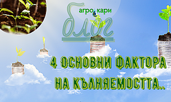 4 основни фактора на кълняемостта..