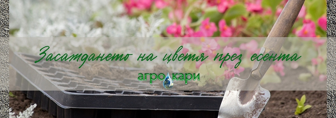 Засаждането на цветя през есента