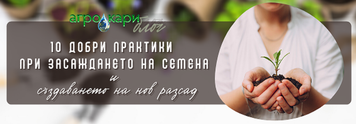 10 добри практики при засаждането на семена