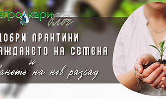 10 добри практики при засаждането на семена