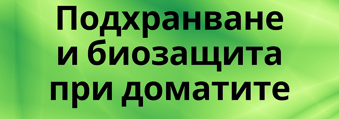 Подхранване и биозащита при доматите
