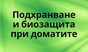 Подхранване и биозащита при доматите