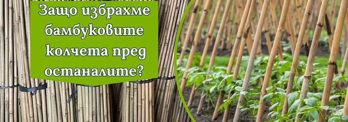 Бамбуковите колове и тяхното приложение в градината