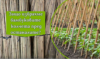 Бамбуковите колове и тяхното приложение в градината