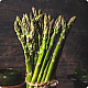 Купи Аспержи Мери вашингтон | ASPARAGUS MARY WASHINGTON  от Seklos - Семена