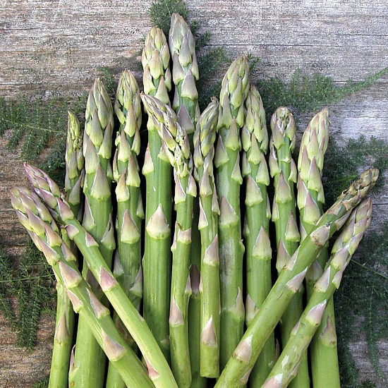 Купи Аспержи Мери вашингтон | ASPARAGUS MARY WASHINGTON  от Seklos - Семена