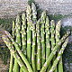 Купи Аспержи Мери вашингтон | ASPARAGUS MARY WASHINGTON  от Seklos - Семена