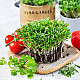 Купи Микрорастения Кориандър | MICROGREENS CORIANDER 100G  от Seklos - Микрорастения | Microgreens