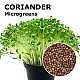 Купи Микрорастения Кориандър | MICROGREENS CORIANDER 100G  от Seklos - Микрорастения | Microgreens