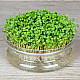 Купи Микрорастения | MICROGREENS ROCKET SALAD 100G  от Seklos - Микрорастения | Microgreens