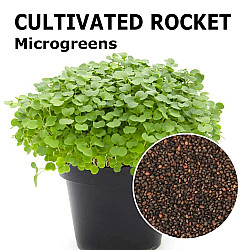 Микрорастения | MICROGREENS ROCKET SALAD 100G