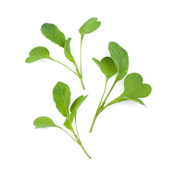 Купи Микрорастения | MICROGREENS ROCKET SALAD 100G  от Seklos - Микрорастения | Microgreens