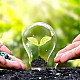 Купи Гранулиран  органо-минерален тор за градински зеленчуци | GRANULATED organic-mineral FERTILIZER - FOR GARDEN VEGETABLES  от Seklos - Био торове