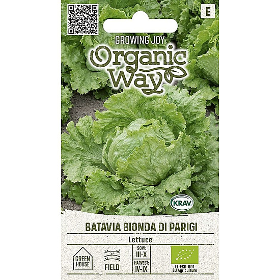 Купи Айсберг Батавия Бионда ди Париж | LETTUCE BATAVIA BIONDA DI PARIGI  от Seklos - БИО СЕМЕНА