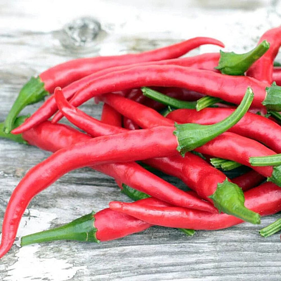 Купи Люта чушка Кайен Лонг Слим | HOT PEPPER CAYENNE LONG SLIM  от Seklos - БИО СЕМЕНА