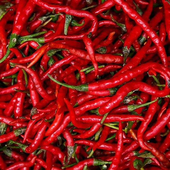Купи Люта чушка Кайен Лонг Слим | HOT PEPPER CAYENNE LONG SLIM  от Seklos - БИО СЕМЕНА