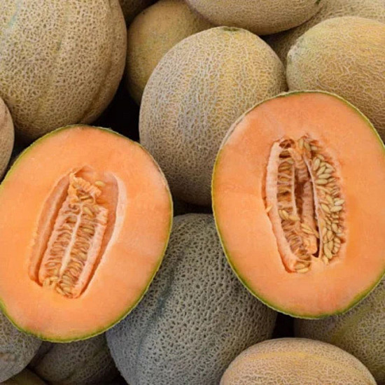 Купи Пъпеш Ретато Дегли Ортолани | MELON RETATO DEGLI ORTOLANI  от Seklos - БИО СЕМЕНА