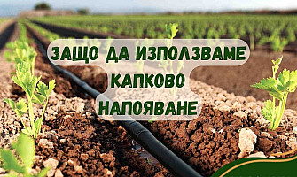 ЗАЩО ДА ИЗПОЛЗВАМЕ КАПКОВО НАПОЯВАНЕ