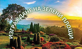 Изграждане на тревна площ с декоративна част: Съвети и Стъпки