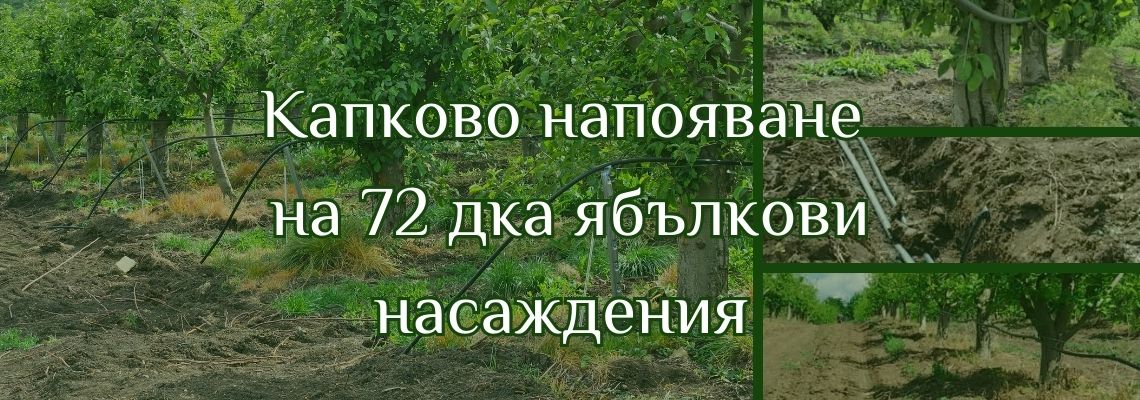 Как изградихме капково напояване на 72 дка ябълки