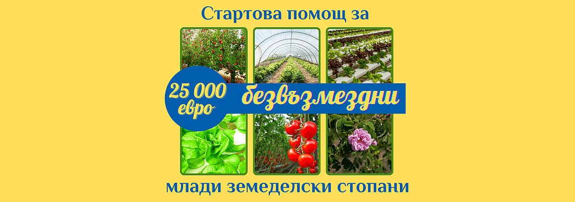 СТАРТОВА ПОМОЩ ЗА МЛАДИ ЗЕМЕДЕЛСКИ СТОПАНИ