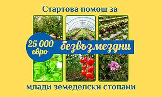 СТАРТОВА ПОМОЩ ЗА МЛАДИ ЗЕМЕДЕЛСКИ СТОПАНИ