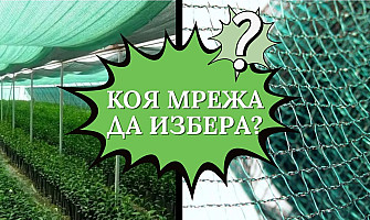 Спаси реколтата! Кои мрежи да избереш за градината?