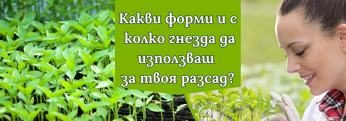 Какви форми и с колко гнезда да използваш за твоя разсад?
