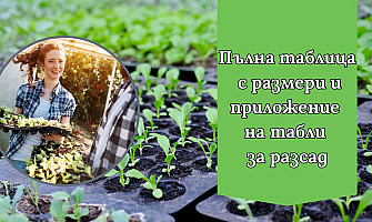 Табли за разсад: пълна таблица с размери и приложение