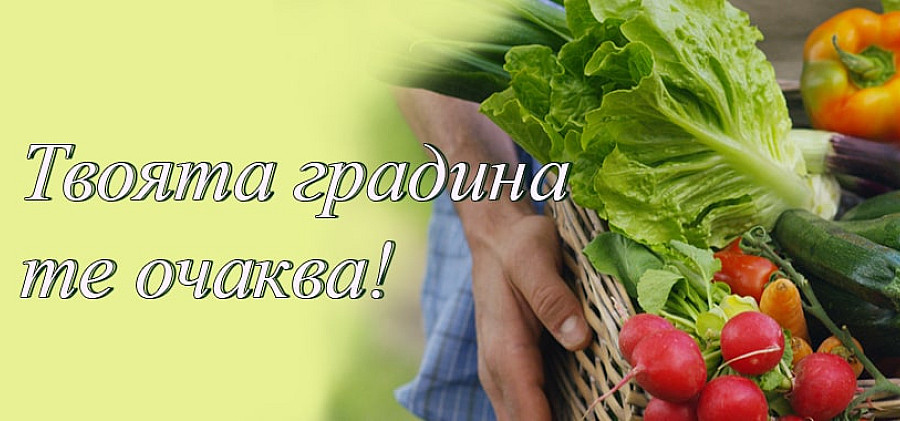 разсади