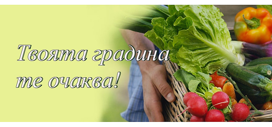 разсади
