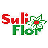 Suli Flor