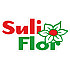 Suli Flor